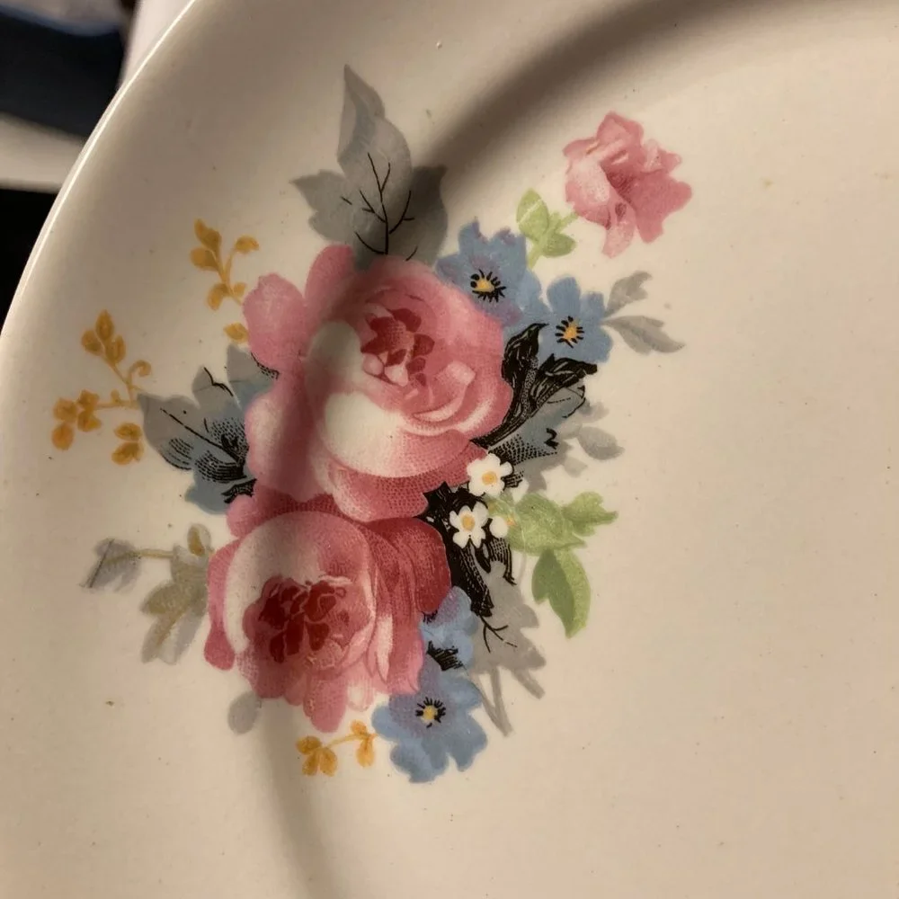 Vintage Dinner Plates (2) 9 Inches with Pink & Blue Flowers / Roses